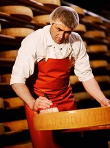 Fromagerie, Laiterie